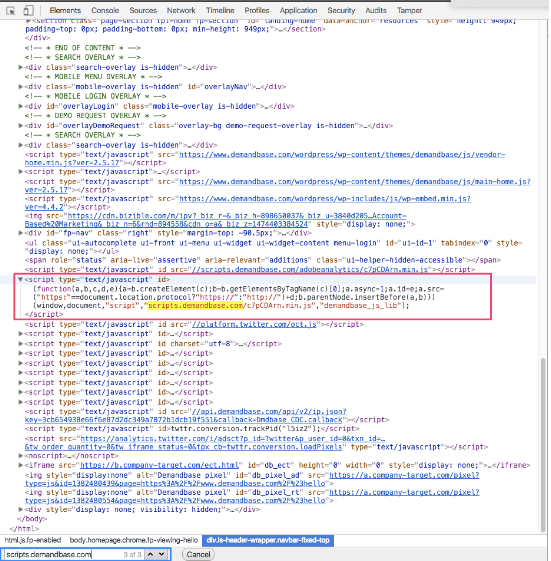 code_snippet_on_Elements_tab.png